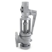 Cast Carbon Steel Full Safety Valve Flange End Class 300 - Color: Silver