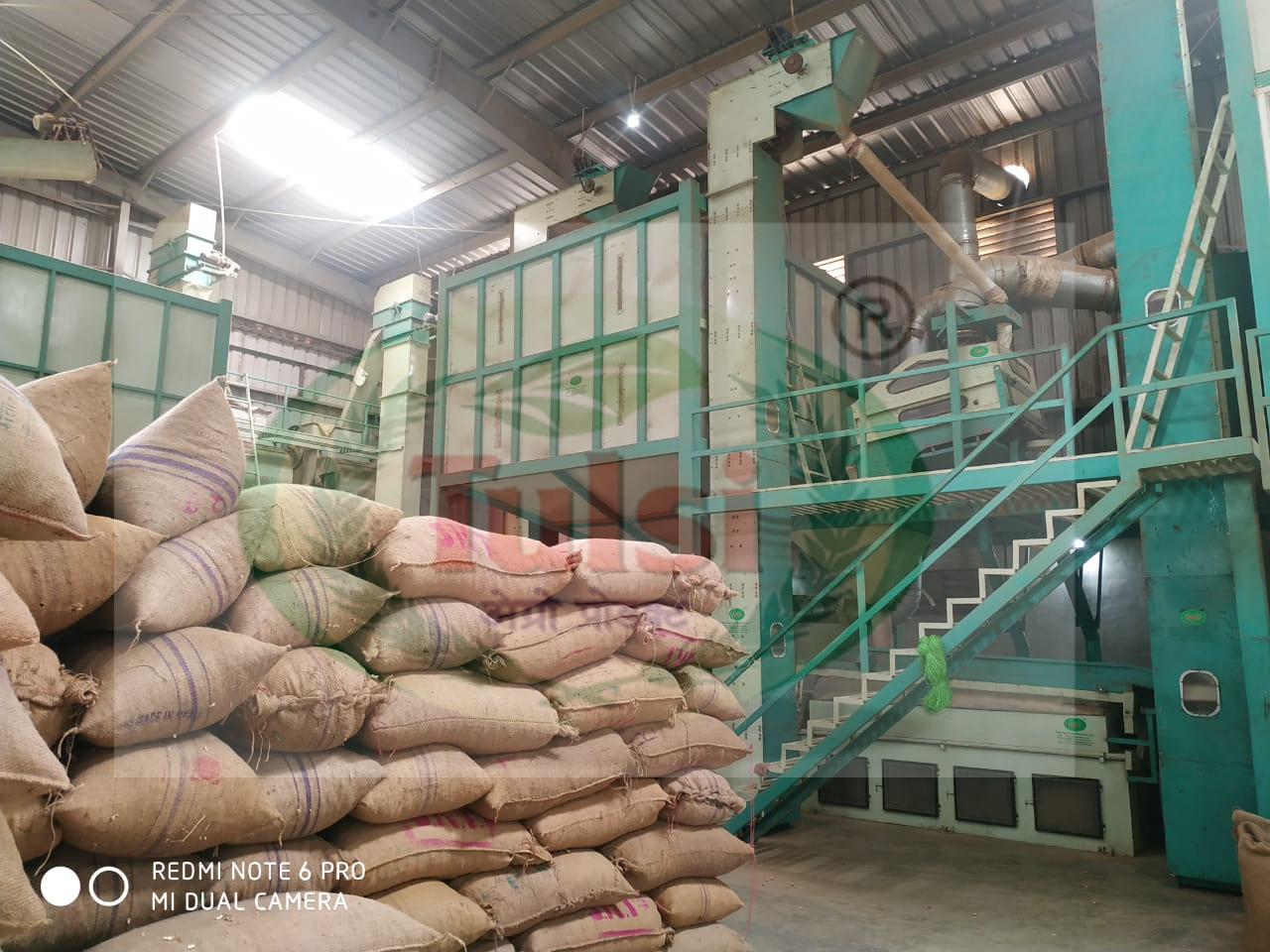 Peanut Processing Plant