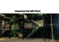 Industrial Dal Mill Plant