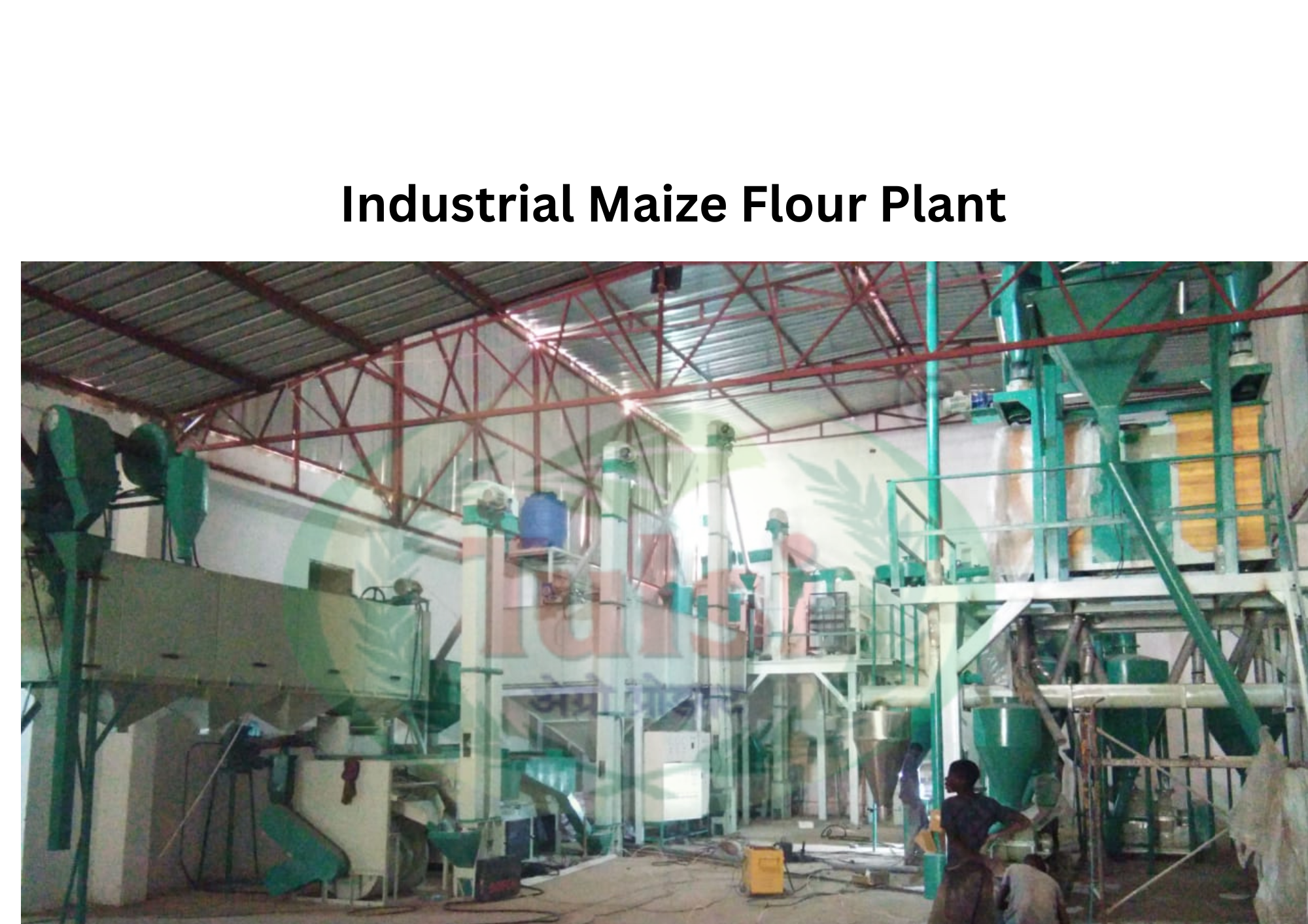 Industrial Maize Flour Plant