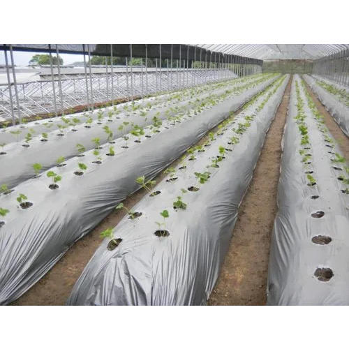 Mulching Film