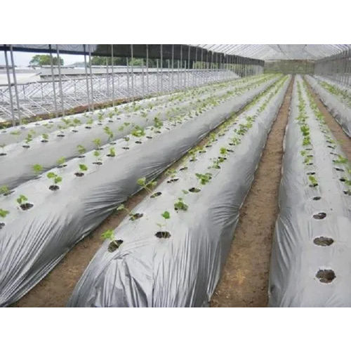 20 Microns Agriculture Plastic Mulching Paper