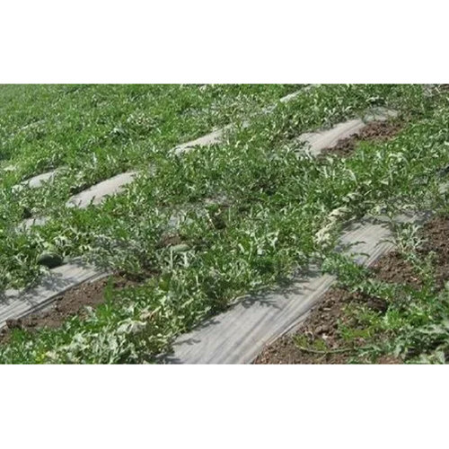 Silver And Black Mulch Films