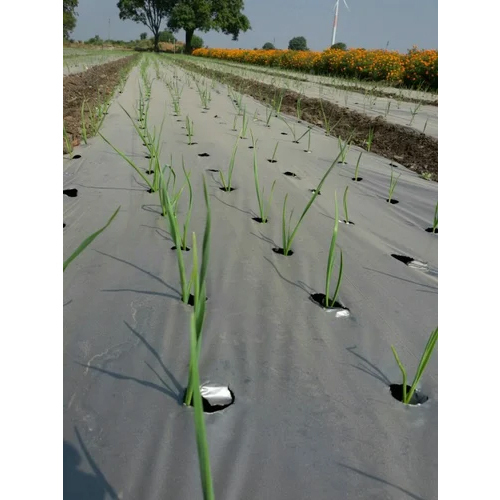 Mulching Film Sheets