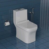 Rectangular Shape White Toilet Seat - Installation Type: Floor Mounted