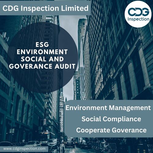 ESG Environment Social and Governance Audit