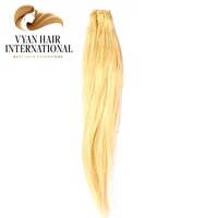 Cuticle Aligned Virgin 613 Blonde Brazilian Human Hair Extension