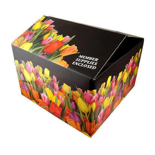 Rectangular Printed Carton Box