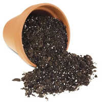 Organic Potting Soil
