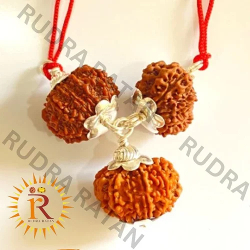 Siddh Evil Protection Kavach Rudraksha