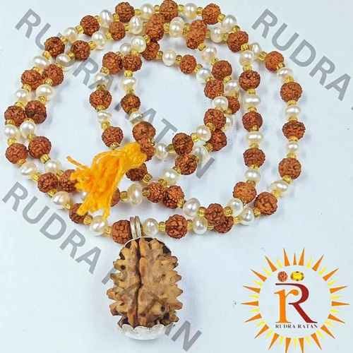 Round/Oval Rudraksha Mala With 1 Mukhi Pendent