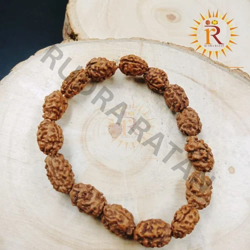 Natural 2 Mukhi Rudraksha Bracelet