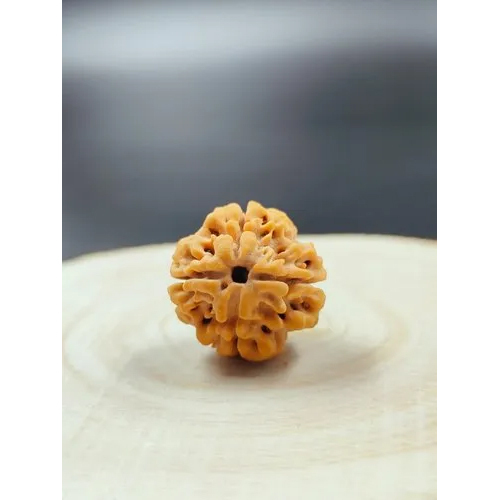 4 Mukhi Nepali Rudhraksha