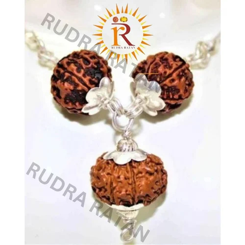 Badha Mukti Kavach 7 8 12 Mukhi Rudraksh