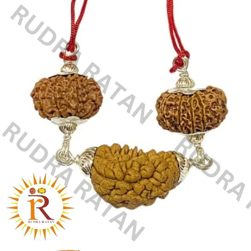 Siddh Narayan Kavach Rudraksha