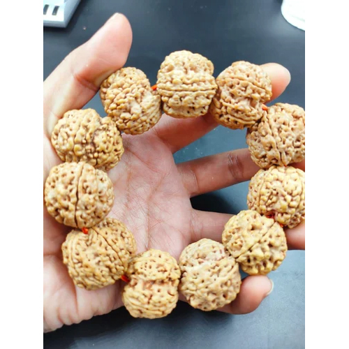 5 Mukhi Nepali Rudraksha Bracelet