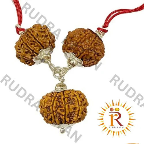 Pendent Siddh Kaal Sarp Dosh Nivaran Rudraksha Kavach