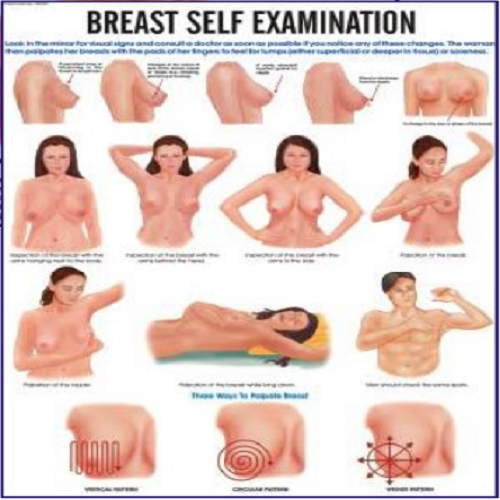 INC20  Breast Self Examination