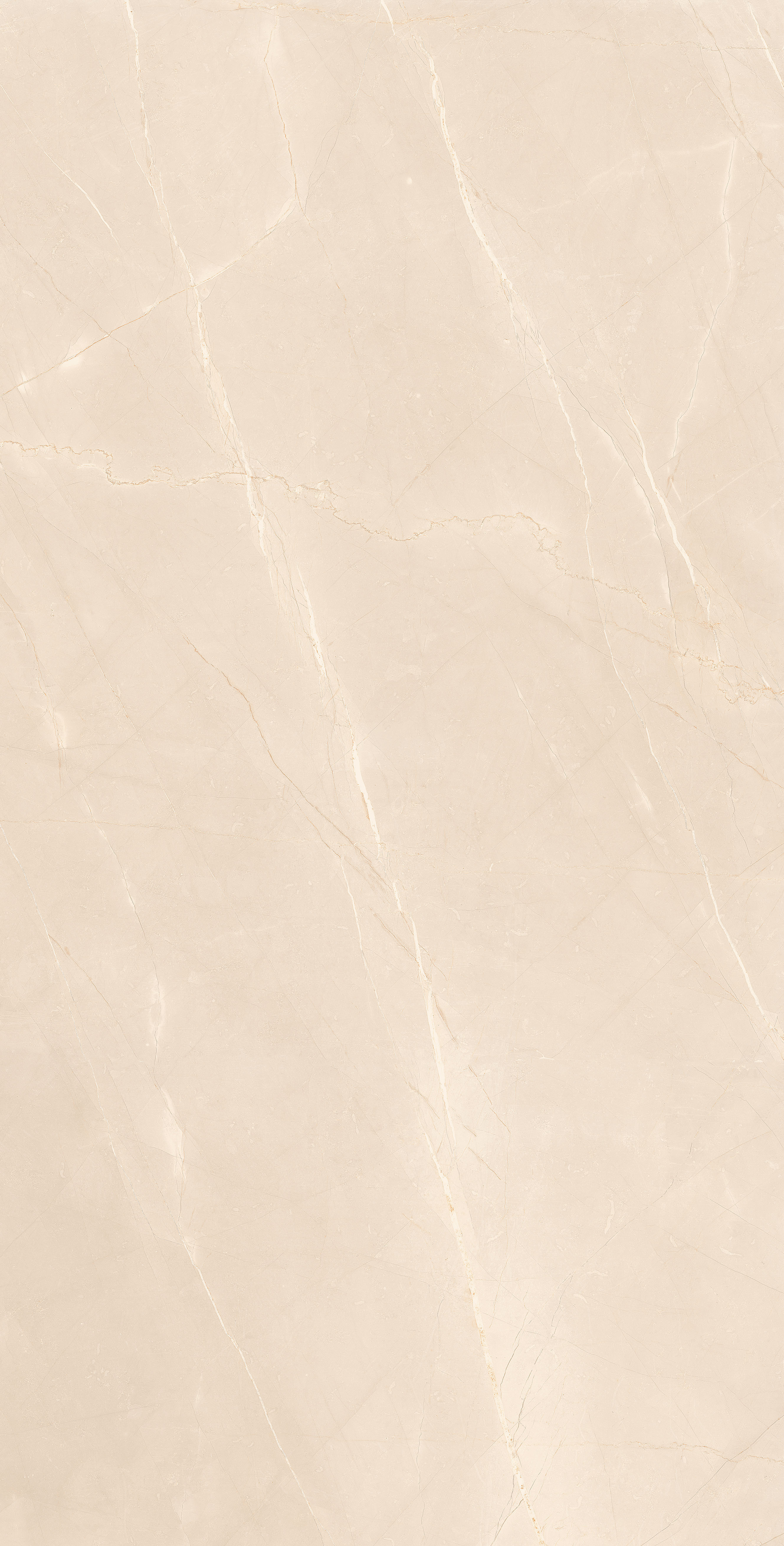 Amazon Brown Glazed Vitrified Tiles