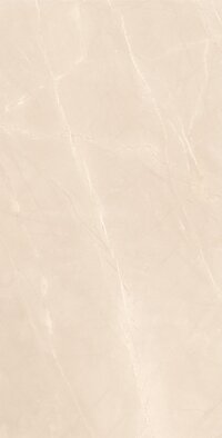 Amazon Brown Glazed Vitrified Tiles
