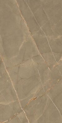 Amazon Brown Glazed Vitrified Tiles
