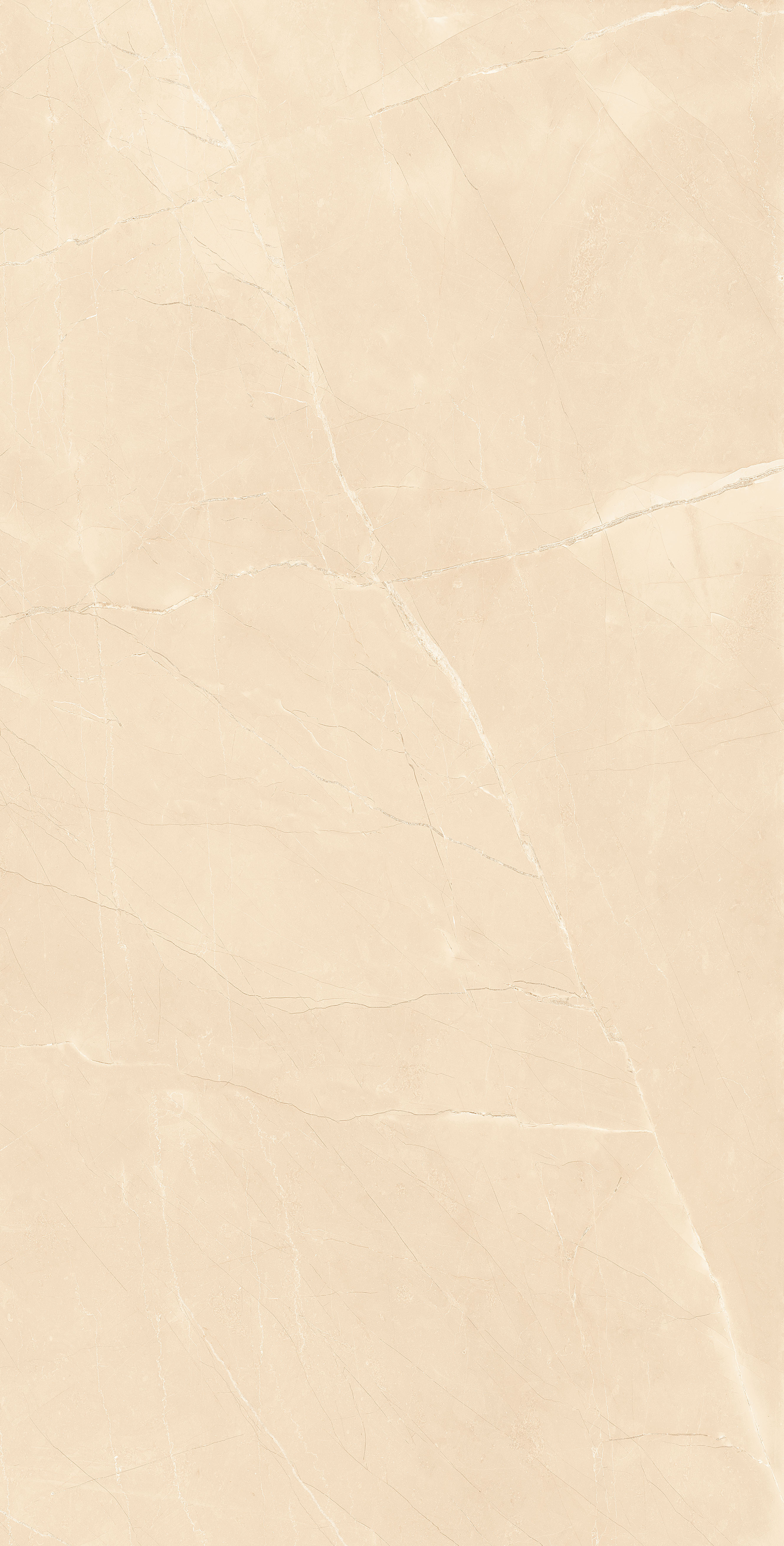Amazon Brown Glazed Vitrified Tiles