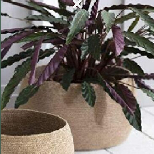 Large Jute Basket Woven Storage Cum planter Basket