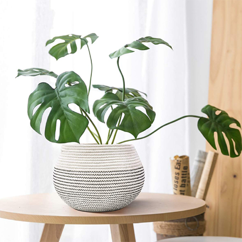 The plant basket is designed for setting plants pot on desks or floor