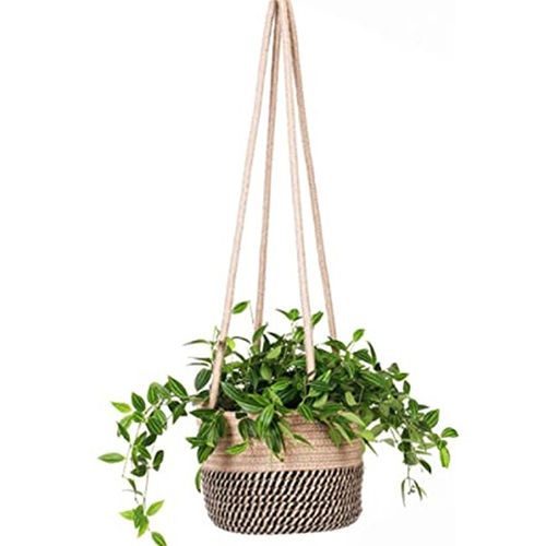 Jute and Cotton Storage Set of 2 Rope Basket Wall Hanging Without Pot Money Plant