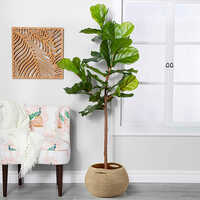 The Jute Rope Plant Basket Is Designed For Setting Plants Pot On Desks Or Floor