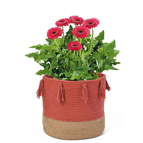 Cotton Woven Round Multipurpose Planter cum Storage Basket