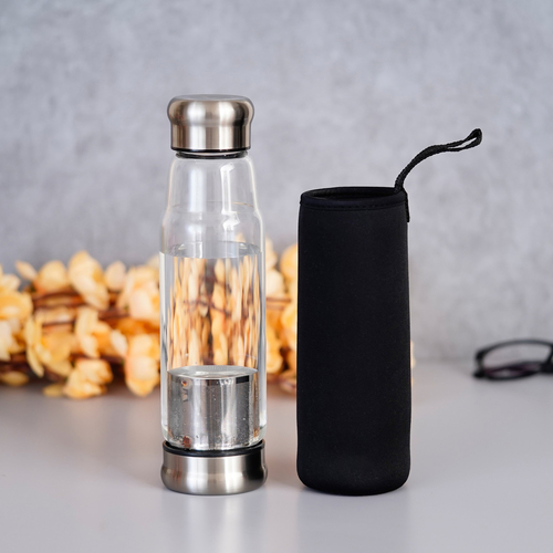 Borosilicate Glass Infuser Bottle (Single walled)