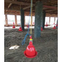 High Quality Jumbo Automatic Poultry Drinker