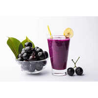 Common Profruitin Frozen Jamun Pulp