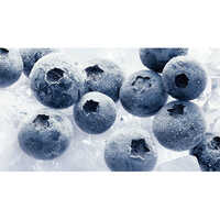 Common Profrutin Frozen Blueberry