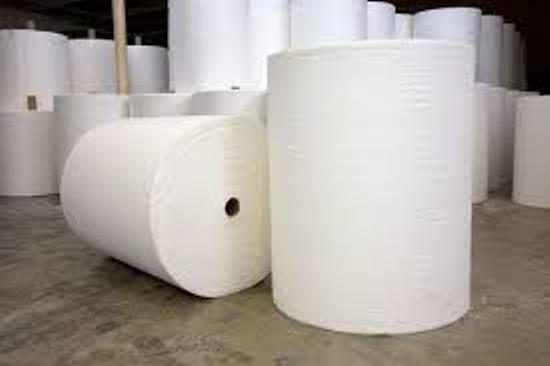 Shakti Non Woven Fabric - Fresh White, Spun Bonded, Plain Texture | Available in All Colours