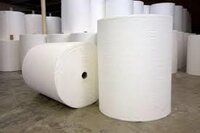 Shakti Non Woven Fabric