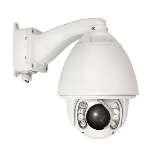 Ptz Dome Camera Application: Restaurant