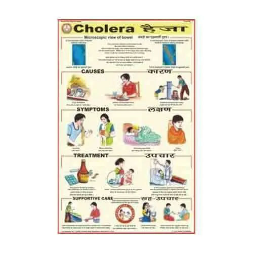 PD01 Cholera