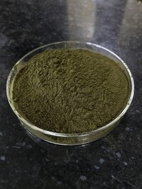 Green Tea Dry Extract - Purity(%): 100%