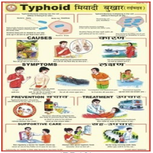 Prevent the diseases Charts