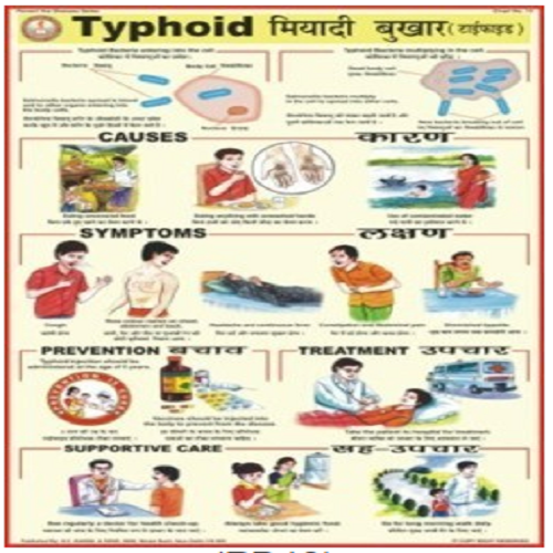 PD10 Typhoid