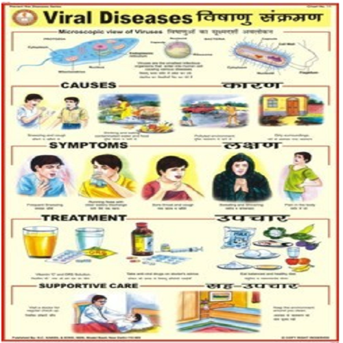 PD11 Viral Diseases