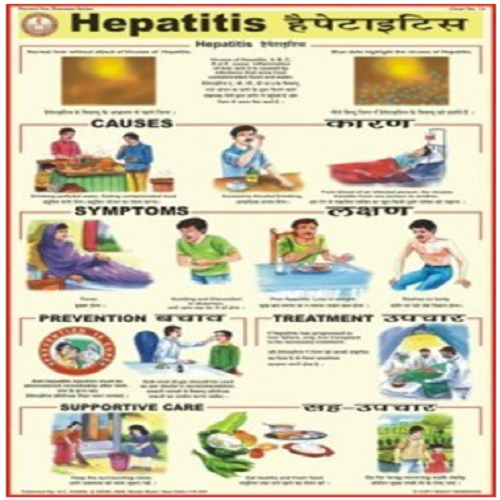 PD14 Hepatitis