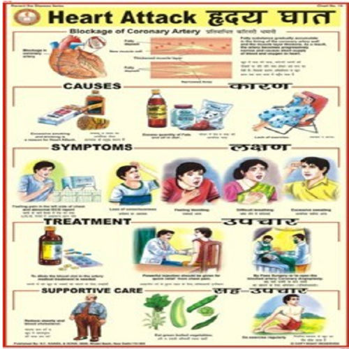 PD15 Heart Attack