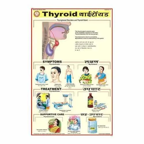 PD19 Thyroid