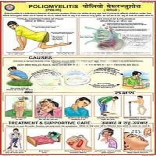 Prevent the diseases Charts