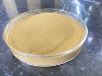 Neem Dry Extract