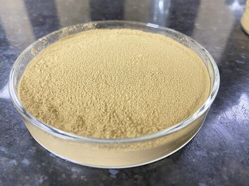 Gotu Kola Dry Extract