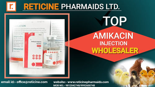 TOP AMIKACIN INJECTION WHOLESALER VETERINARY